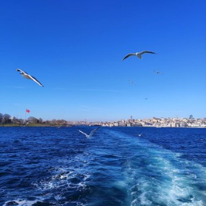 Adalar, ou les îles des princes. Un archipel situé dans la mer de Marmara et très prisé des habitants d'Istanbul (petite colation à la fin)